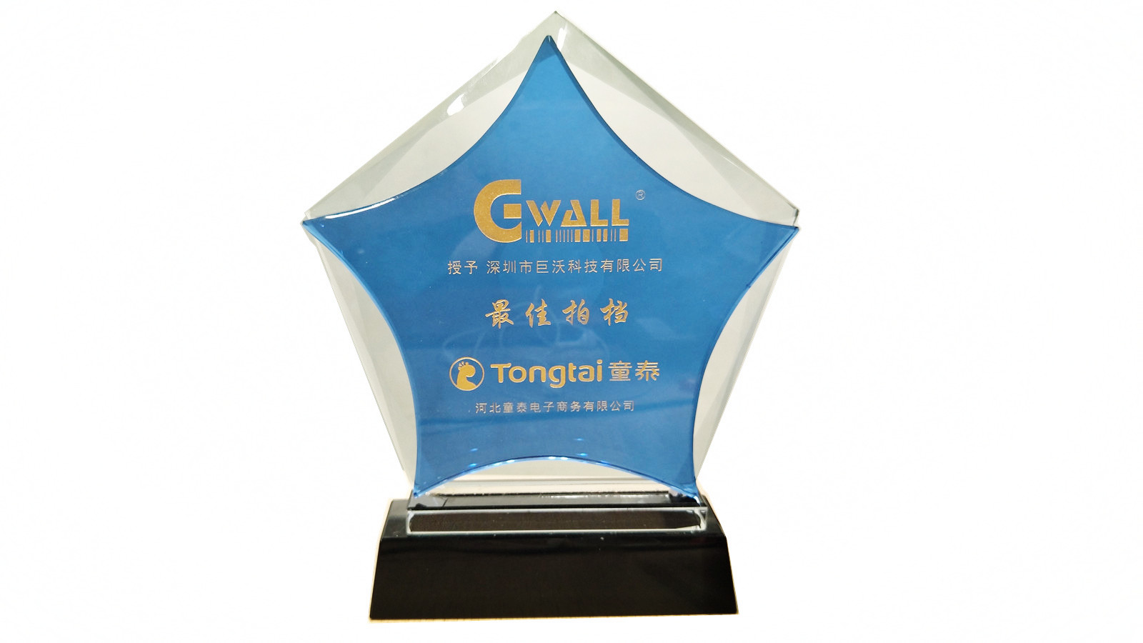 中國著名童裝——童泰授予巨沃“最佳拍檔”稱號